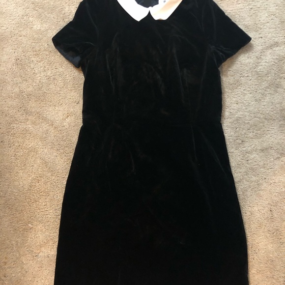 bonpoint black velvet dress